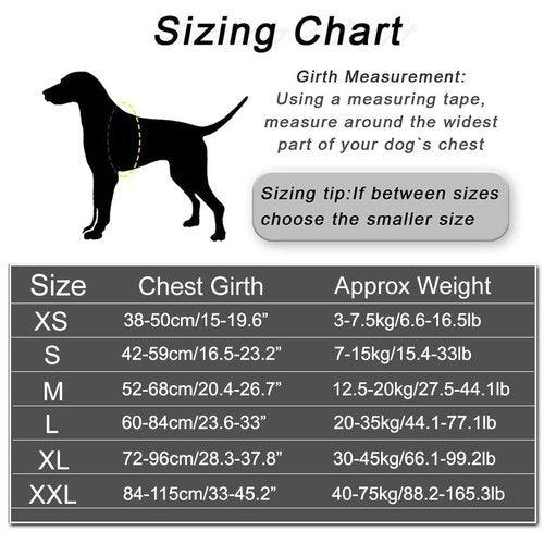 Customized Dog Harness, Online Shopping iBuyXi.com, Pet supplies, Dog supplies, Dog harness, Personalized Dog Harness