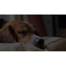 Pet Cat Dog Bed Winter Warm House Non-slip,Bottom Soft Puppy Cushion Pet Sleeping Kennel Portable Sofa Mat for Dogs Cat Supplies, Portable Pet Cat Dog Bag, Breathable Transparent Pet Carrier Bag, ,iBuyXi.com