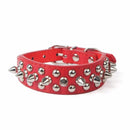 Pet Collar, Visit iBuyXi.com for Online Shopping and Shop the Unique Selection, Dog, Cat, Dog Collar, Collar, Dog Neckband, Neckband.