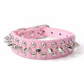 Pet Collar, Visit iBuyXi.com for Online Shopping and Shop the Unique Selection, Dog, Cat, Dog Collar, Collar, Dog Neckband, Neckband.