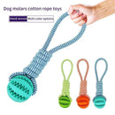 Toys Dog Cleaning Pet Cat Dog Teeth Chew Toy Pet Supplies,Portable Pet Cat Dog Bag, Breathable Transparent Pet Carrier Bag, ,iBuyXi.com