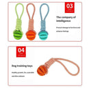 Toys Dog Cleaning Pet Cat Dog Teeth Chew Toy Pet Supplies,Portable Pet Cat Dog Bag, Breathable Transparent Pet Carrier Bag, ,iBuyXi.com