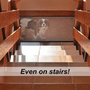 Safe Pet Mesh Gate, Online Shopping at iBuyXi.com, Pet supplies, Dog Cat Supplies, Sfae mesh barrier, mesh barrier, kids safety mesh barrier, pet supplies vendor