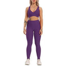 2 Piece Set Seamless Fitness Women Yoga Sport Suits High Stretchy Sport Set Sports Bra High Waist Legging Gym Athletic Yoga Set - iBuyXi.com