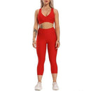 2 Piece Set Seamless Fitness Women Yoga Sport Suits, High Stretchy Sport Set, Sports Bra High Waist ,Legging Gym Athletic Yoga Set, The Loose Fitting Design,100% brand new, high quality, and most fashion women sexy crop,cami top y2k camisole tank Specially design, perfect gift, Valentine's day, birthday clothes, iBuyXi.com
