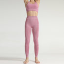 Purple Seamless Yoga Suit. Shop Online at iBuyXi.com, Yoga suit, training outfit, fitness clothes, women clothing, women sporting goods, sports bra, training bra, fitness suit, purple tops and bottom, yoga suit, yoga tops, yoga bottom, yoga shirt, leggings, fitness clothes