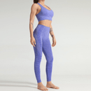 Purple Seamless Yoga Suit. Shop Online at iBuyXi.com, Yoga suit, training outfit, fitness clothes, women clothing, women sporting goods, sports bra, training bra, fitness suit, purple tops and bottom, yoga suit, yoga tops, yoga bottom, yoga shirt, leggings, fitness clothes
