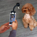 Selfie Stick for Pet, Visit iBuyXi.com for Online Shopping and Shop the Unique Selection, Dog, Cat, Dog Selfie Stick, Selfie Stick.