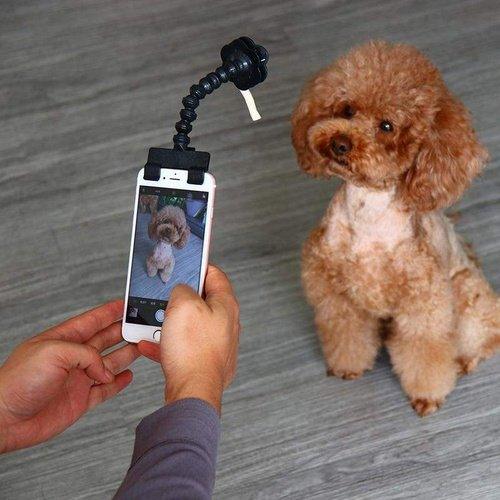 Selfie Stick for Pet, Visit iBuyXi.com for Online Shopping and Shop the Unique Selection, Dog, Cat, Dog Selfie Stick, Selfie Stick.