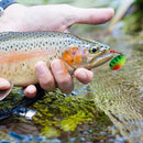 Spinnerbait Kit Metal Artificial Fishing Bait, iBuyXi.com, Fishing Accessories, Fishing, Fishing Lure, Fishing Equipment, Camping, Ocean Boat Fishing, Lake Fishing, Ice Fishing Wheel, Fishing Bait