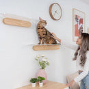 Acrylic Cat Jumping Board Wall-Mounted, Cats Climbing Frame, Cats Platform House, DIY Cats Tree Toy Cats Hammock, Bed Wood Pet Furniture, iBuyXi.com
