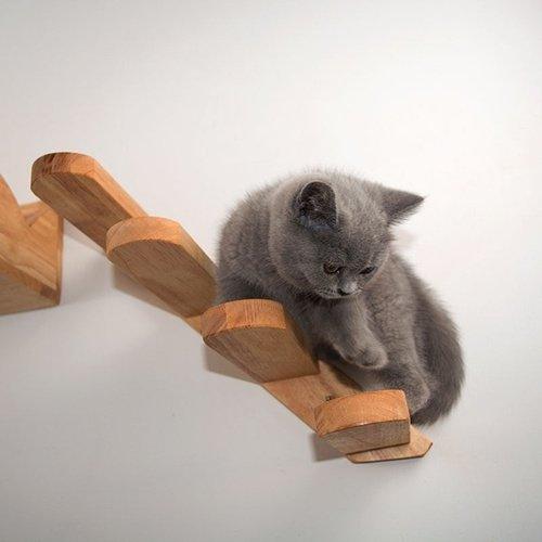 Wall-mounted Cat Climbing Wooden Stairs, iBuyXi.com
