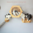 Wall-mounted Cat climbing, Frame Cat Tree, Solid Wood Hexagon Space Capsule, Cat Wall Springboard, Kitten House Ladder Pet Furniture, iBuyXi.com