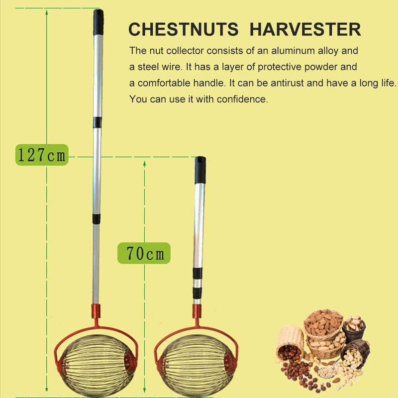 Walnuts Harvester, Visit iBuyXi.com for Online Shopping and Shop the Unique Selection, Nuts Harvester, Chestnuts Harvester, Harvester, Hazelnuts Harvester.