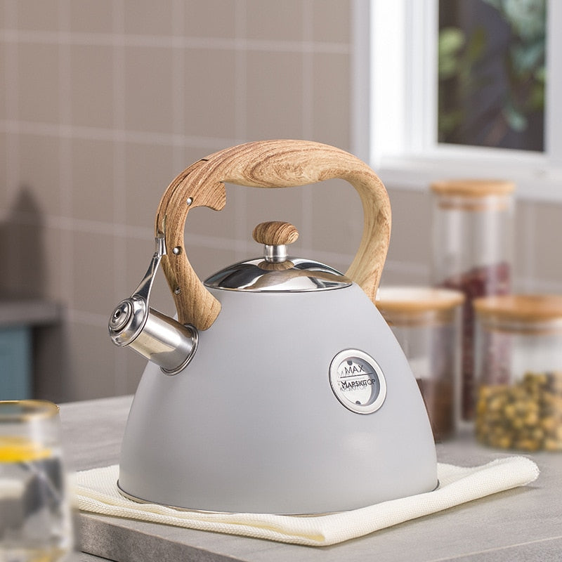 2.5L Whistling Stainless Steel Tea Kettle, iBuyXi.com