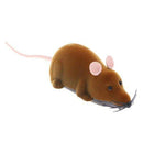 Wireless RC Mice Cat Toys, Visit iBuyXi.com for Online Shopping and Shop the Unique Selection, Cat, Cat Toy, Wireless Remote Control Mice, Remote Control Mice, Remote Control Mice Toy, Mouse Toy, Cat Playing Toy, Cat Lover. 