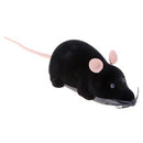 Wireless RC Mice Cat Toys, Visit iBuyXi.com for Online Shopping and Shop the Unique Selection, Cat, Cat Toy, Wireless Remote Control Mice, Remote Control Mice, Remote Control Mice Toy, Mouse Toy, Cat Playing Toy, Cat Lover. 