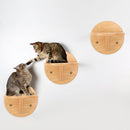 Wooden Cat Climbing Wall Steps, iBuyXi.com